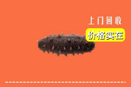 南京浦口区回收海参
