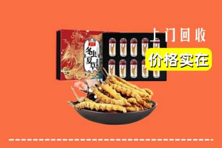 南京浦口区回收虫草